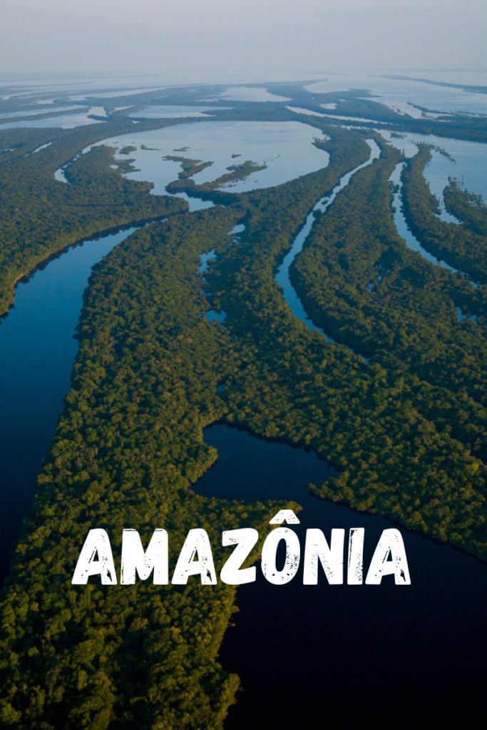 Amazonia Brazil Travel